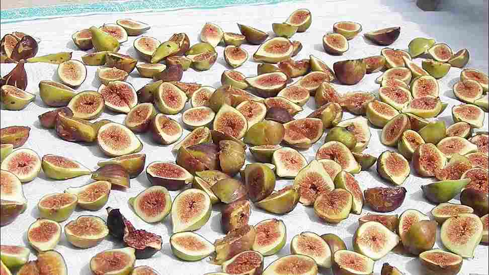 انجیر خشک گرمسار با طعم دلنشین و کیفیت مطلوب